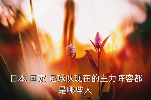 日本 國家 足球隊(duì)現(xiàn)在的主力陣容都是哪些人