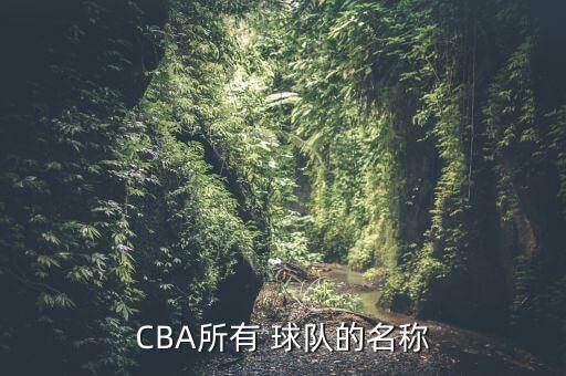 CBA所有 球隊(duì)的名稱(chēng)