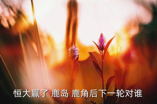 鹿島鹿角和上海上港哪個隊贏,我國足球聯(lián)賽:上港大勝淡濱尼斯