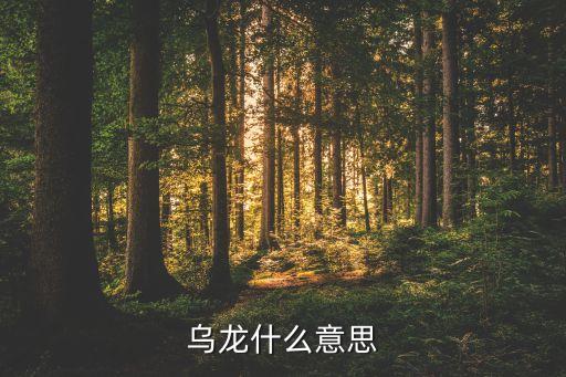 千里甲聯(lián)賽哪個(gè)國(guó)家的,烏龍來(lái)自粵語(yǔ)和粵語(yǔ)名犬的悲哀