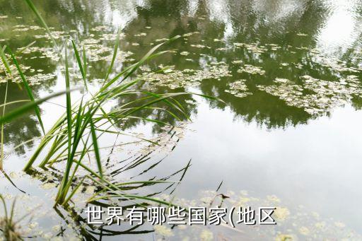 黑山和丹麥哪個厲害,波斯尼亞和黑塞哥維納分裂東德完全融合