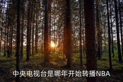 中央電視臺是哪年開始轉(zhuǎn)播NBA