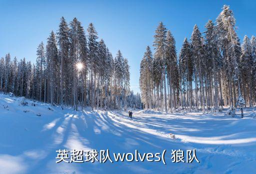 英超球隊wolves( 狼隊