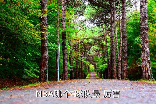 NBA哪個 球隊(duì)最 厲害