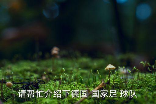 請幫忙介紹下德國 國家足 球隊(duì)