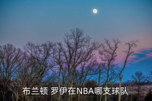 羅伊現(xiàn)在在哪個隊,nba球員羅伊希伯特生涯回顧