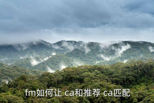 fm ca和評(píng)分哪個(gè)重要,fm如何搭配ca和推薦ca