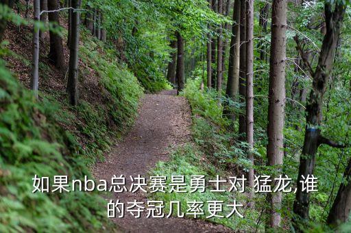 如果nba總決賽是勇士對(duì) 猛龍,誰(shuí)的奪冠幾率更大