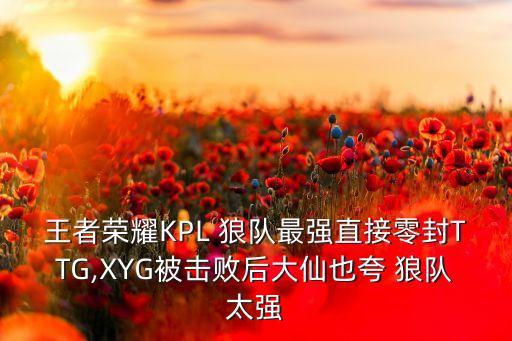 王者榮耀KPL 狼隊最強直接零封TTG,XYG被擊敗后大仙也夸 狼隊太強