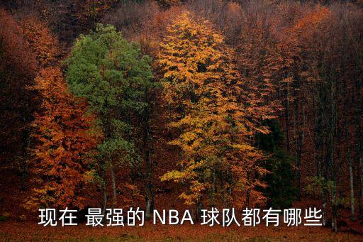 現(xiàn)在 最強(qiáng)的 NBA 球隊(duì)都有哪些