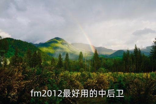 fm2012最好用的中后衛(wèi)