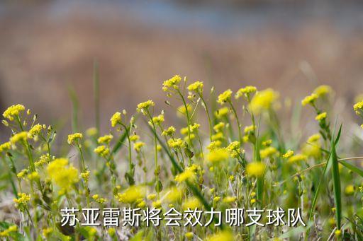 蘇亞雷斯去哪個(gè)隊(duì)啦,蘇亞雷斯轉(zhuǎn)會(huì)馬競(jìng)?cè)〉猛黄?/></a></span><span id=