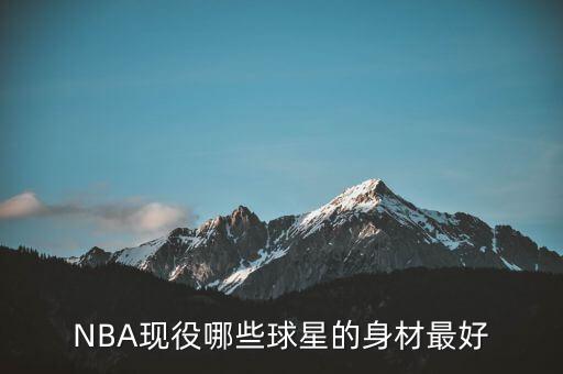 nba哪個(gè)身體好,身體素質(zhì)最好的球員為1.13米全明星球員