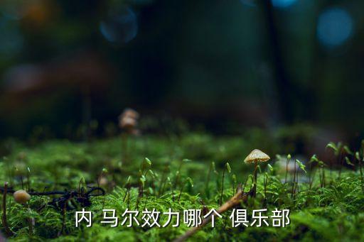 內(nèi)馬爾哪個(gè)俱樂部,馬爾大席·桑托斯簡稱nei馬爾