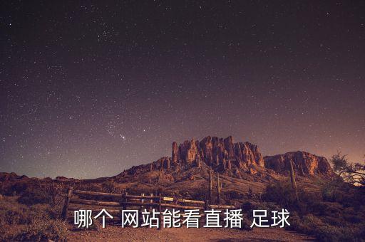 哪個(gè)足球網(wǎng)站好,觀看直播需要什么東西?