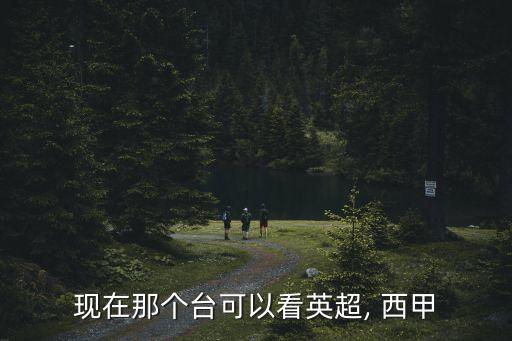 哪個(gè)臺(tái)能看西甲,英超比賽日常生活