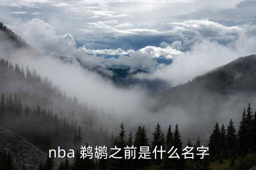  nba 鵜鶘之前是什么名字