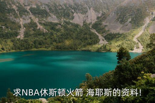 nba海耶斯在哪個(gè)隊(duì)打球,拜納姆用力打不動(dòng)還勾出了陽痿球球