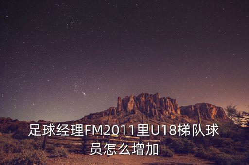 足球經(jīng)理FM2011里U18梯隊(duì)球員怎么增加