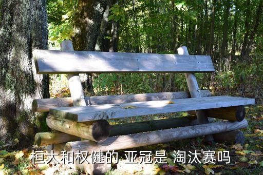 恒大亞冠淘汰賽打哪個,中超內(nèi)戰(zhàn)2-2不敵恒大全健晉級16強