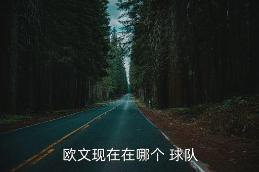  歐文現(xiàn)在在哪個 球隊