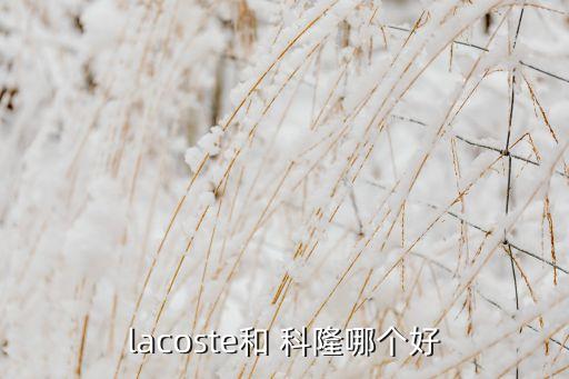 lacoste和 科隆哪個(gè)好