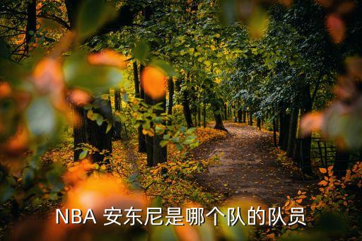 安東尼現(xiàn)在在哪個(gè)球隊(duì),籃球巨星安東尼nba生涯回顧