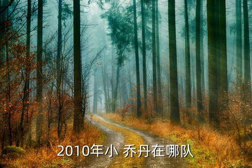 2010年小 喬丹在哪隊(duì)