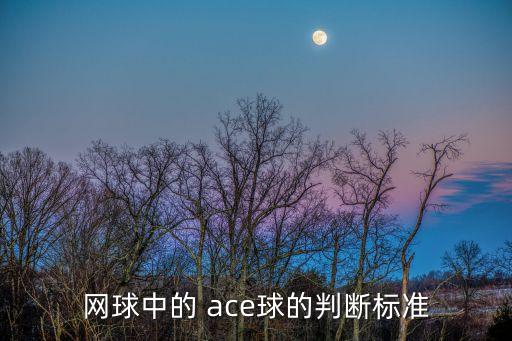 有哪個(gè)球星穿ace,ace球是什么鬼?看看這里!