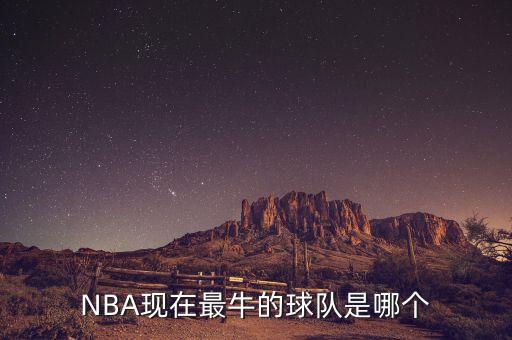 活塞和奇才哪個(gè)厲害,我個(gè)人總結(jié):nba總冠軍還是有希望