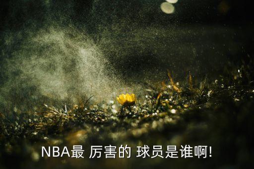 nba哪個(gè)球員最厲害,喬丹退役后仍是nba之最厲害球員