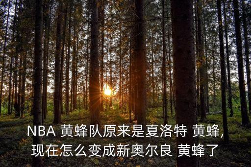 NBA 黃蜂隊原來是夏洛特 黃蜂,現(xiàn)在怎么變成新奧爾良 黃蜂了