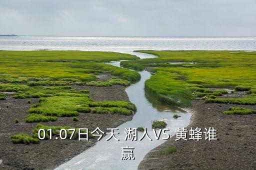 01.07日今天 湖人VS 黃蜂誰(shuí)贏