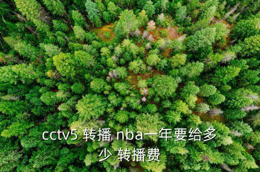 cctv5 轉(zhuǎn)播 nba一年要給多少 轉(zhuǎn)播費