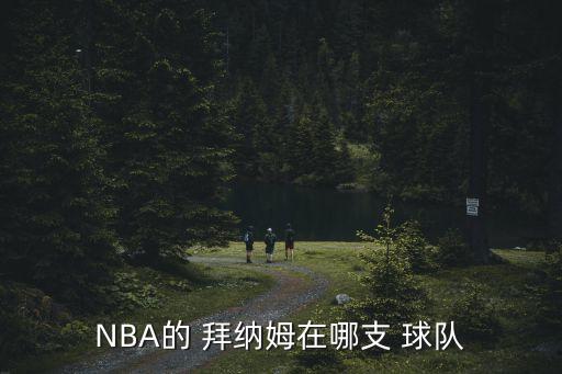 NBA的 拜納姆在哪支 球隊