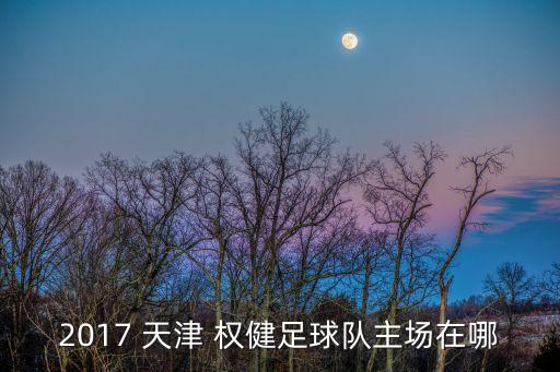 2017 天津 權(quán)健足球隊(duì)主場在哪