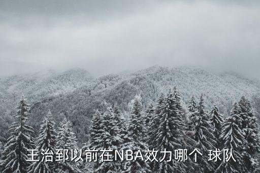  王治郅以前在NBA效力哪個(gè) 球隊(duì)