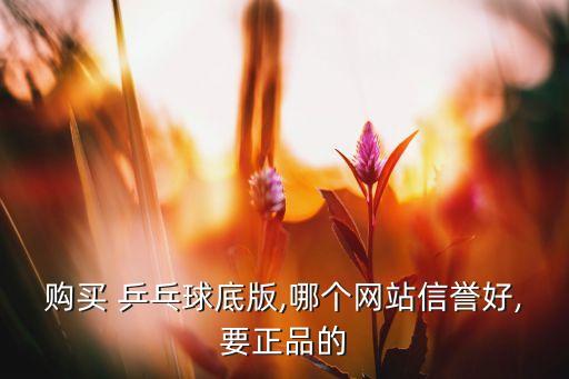 購(gòu)買 乒乓球底版,哪個(gè)網(wǎng)站信譽(yù)好,要正品的