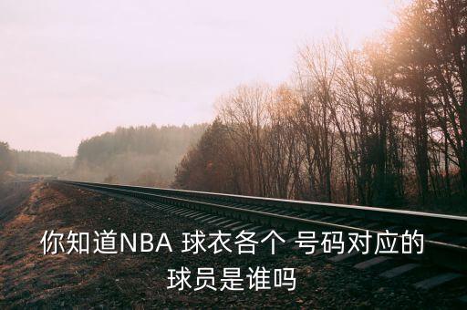 你知道NBA 球衣各個 號碼對應的球員是誰嗎