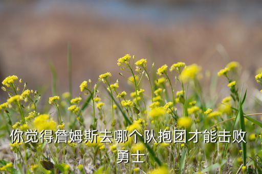 你覺得詹姆斯去哪個隊(duì)抱團(tuán)才能擊敗 勇士