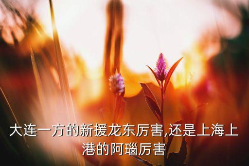 阿瑙托維奇在哪個隊,英超球隊簽下不來梅前鋒阿瑙托-1/