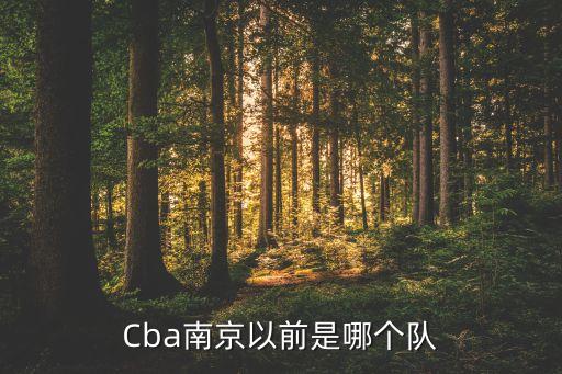 Cba南京以前是哪個(gè)隊(duì)