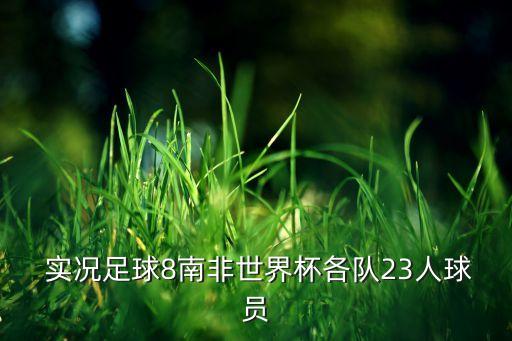  實況足球8南非世界杯各隊23人球員