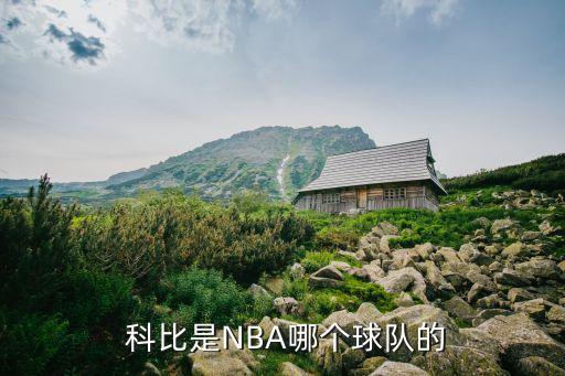 科比2017復(fù)出哪個(gè)戰(zhàn)隊(duì),科比布萊恩特nba生涯回顧