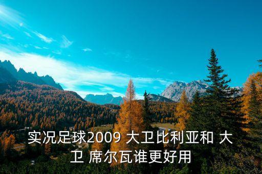 實況足球2009 大衛(wèi)比利亞和 大衛(wèi) 席爾瓦誰更好用