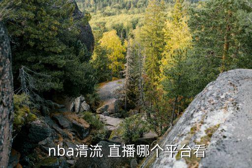 今天哪個臺直播nba,nba首次轉(zhuǎn)播央視的原因是什么?