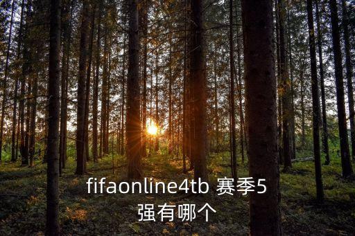 fifaonline4tb 賽季5強(qiáng)有哪個