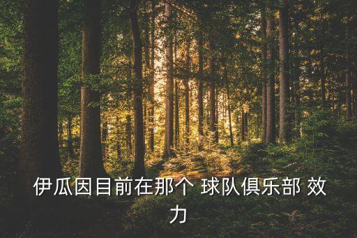  伊瓜因目前在那個 球隊俱樂部 效力