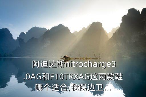  阿迪達斯nitrocharge3.0AG和F10TRXAG這兩款鞋哪個適合,我踢邊衛(wèi)...