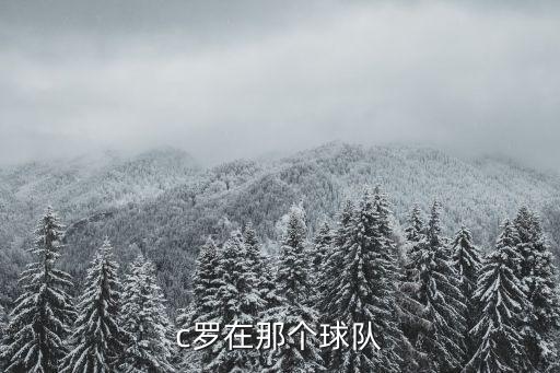 歐冠C羅哪個(gè)隊(duì)幾號(hào),c羅轉(zhuǎn)會(huì)尤文圖斯足球俱樂部